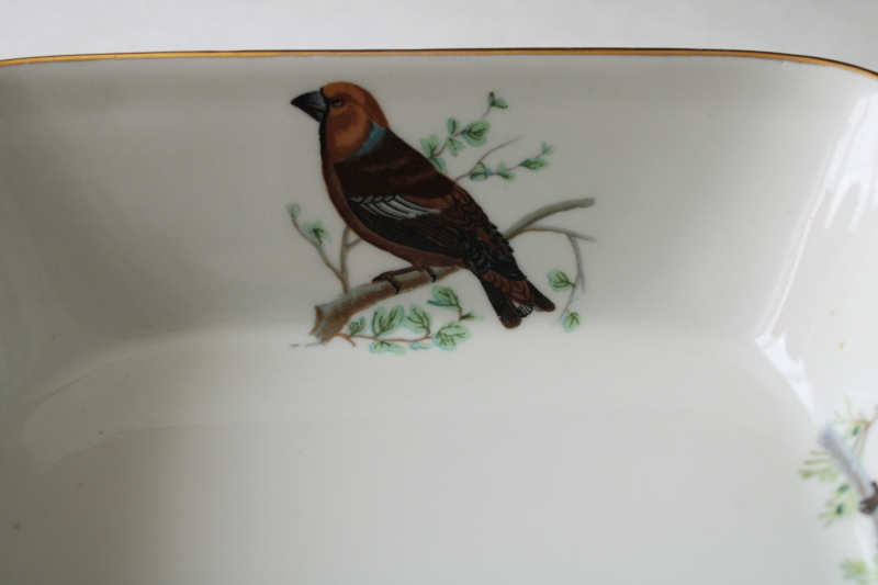 photo of French heat proof porcelain casserole baking dish w/ song birds print, Lourioux La Faune ironstone china  #4