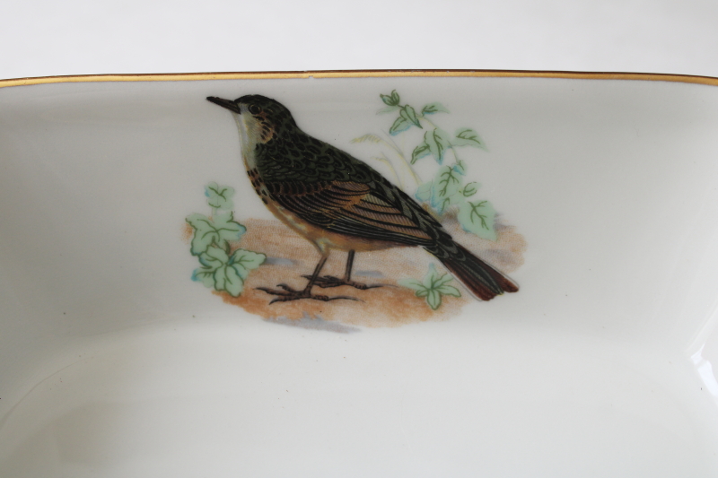photo of French heat proof porcelain casserole baking dish w/ song birds print, Lourioux La Faune ironstone china  #5