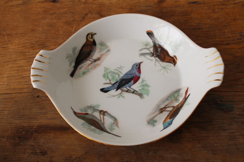 photo of French heat proof porcelain gratin, baking dish w/ song birds print, Lourioux La Faune ironstone china  #1
