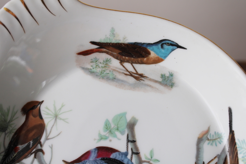 photo of French heat proof porcelain gratin, baking dish w/ song birds print, Lourioux La Faune ironstone china  #3