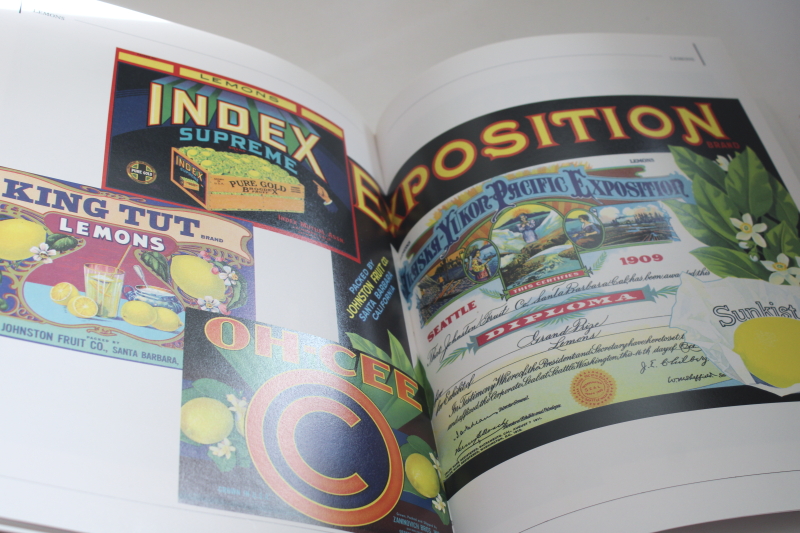 photo of Fruit Crate Art Jo Davidson, history & photos of antique vintage advertising labels, collector's book  #4