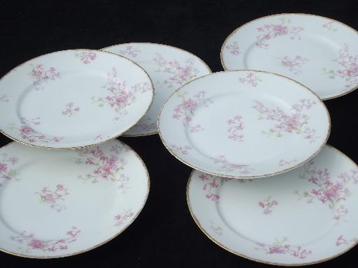 photo of GDA Charles Field Haviland Limoges vintage pink floral china plates #1