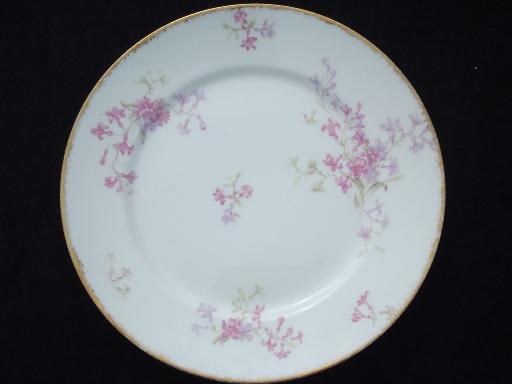 photo of GDA Charles Field Haviland Limoges vintage pink floral china plates #2