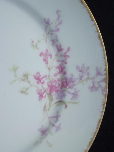 photo of GDA Charles Field Haviland Limoges vintage pink floral china plates #3