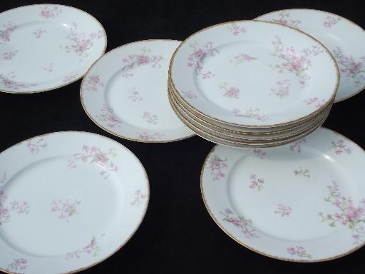 photo of GDA Charles Field Haviland Limoges vintage pink floral dinner plates #1