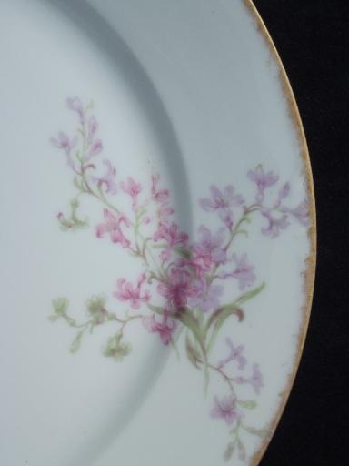 photo of GDA Charles Field Haviland Limoges vintage pink floral dinner plates #3