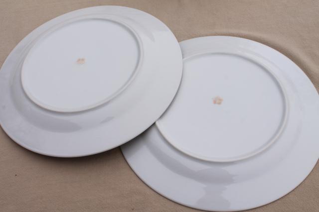 photo of GNA fine porcelain plates w/ gold patterned border, set of 10 dinner plates #6