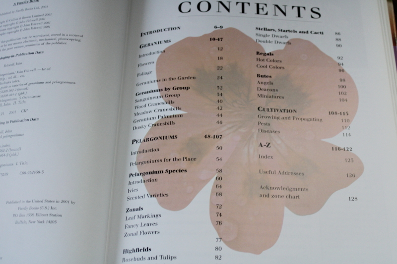 photo of Geraniums & Pelargoniums flower types, varieties w/ color photos, gardening book  #3
