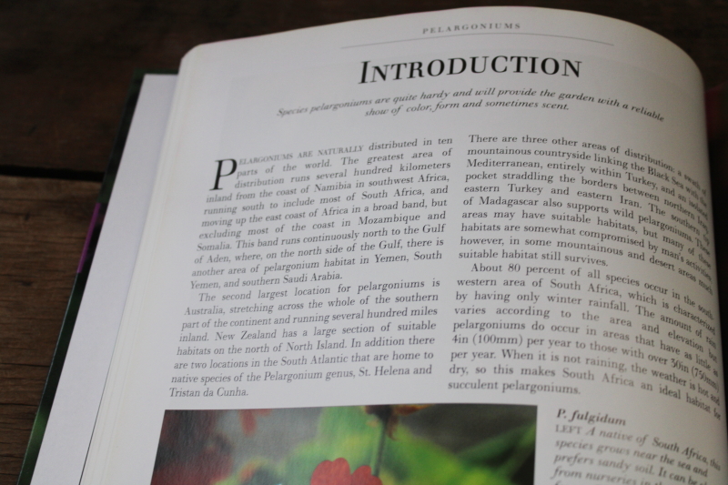 photo of Geraniums & Pelargoniums flower types, varieties w/ color photos, gardening book  #4