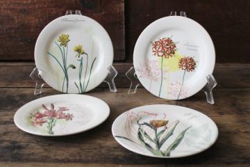 Gien France ceramic plates w/ herbal botanical illustrations, flowering bulbs  