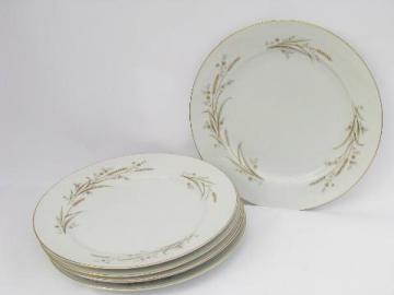 catalog photo of Golden harvest wheat Fine China - Japan, set 6 vintage dinner plates