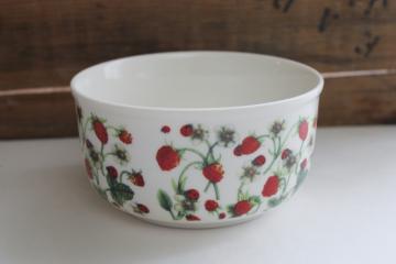 catalog photo of Grace pantry wild strawberries & ladybugs pattern porcelain bowl modern farmhouse cottage kitchen 