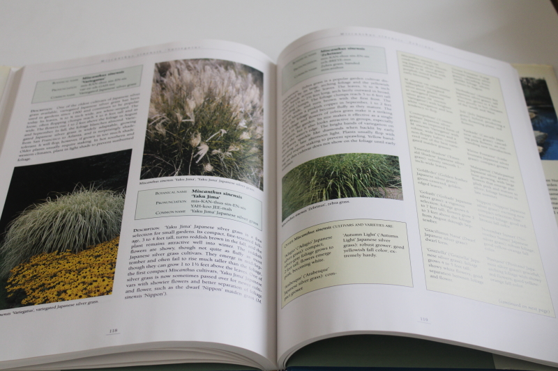 photo of Greenlee Encyclopedia of Ornamental Grasses, photos of plant varieties & garden growing  #4