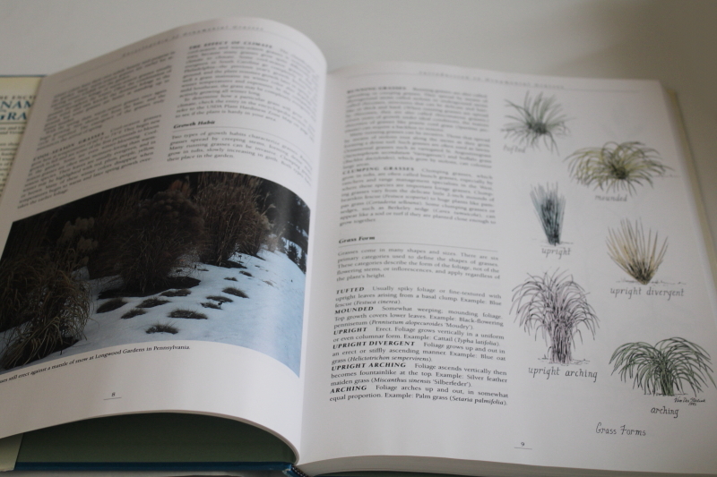 photo of Greenlee Encyclopedia of Ornamental Grasses, photos of plant varieties & garden growing  #5