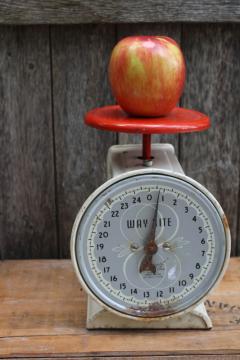 Hanson Way Rite kitchen scale, vintage red & white 25 pound household scale, works fine 