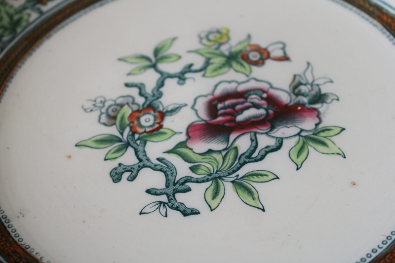 photo of Havre pattern antique Edge Malkin ironstone china bowl, flowering tree of life 1800s vintage  #4