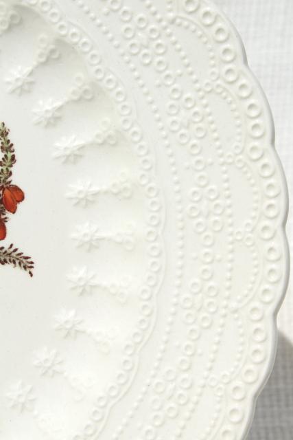 photo of Heath & Rose floral 1920s vintage Spode's Jewel Copeland Spode china plates #7