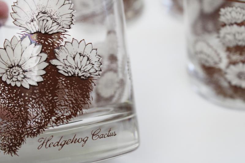 photo of Hedgehog Cactus print glass tumblers set of 8, retro vintage lowball glasses #2