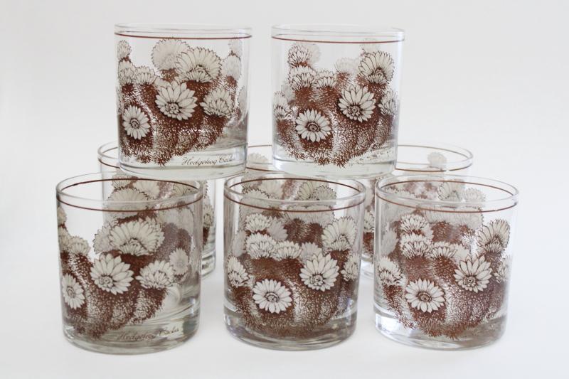 photo of Hedgehog Cactus print glass tumblers set of 8, retro vintage lowball glasses #3