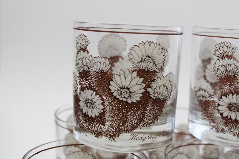 photo of Hedgehog Cactus print glass tumblers set of 8, retro vintage lowball glasses #4