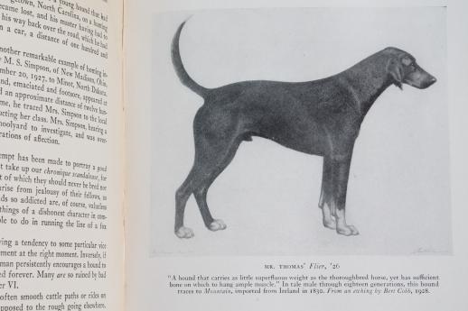 photo of Hounds & Hunting Through the Ages, 1928 hunt & hound dog book vintage edition #5