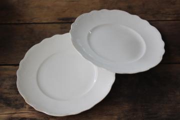 catalog photo of Hudson pattern antique Homer Laughlin white china plates, embossed scalloped border