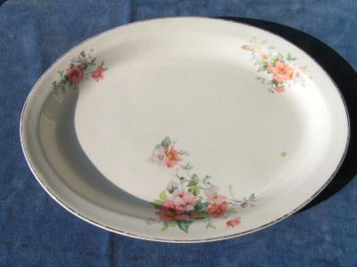 photo of Illinois, antique platter, pink wild roses #1