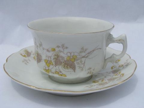 photo of Imperial Karlsbad china, antique vintage porcelain cups & saucers #2