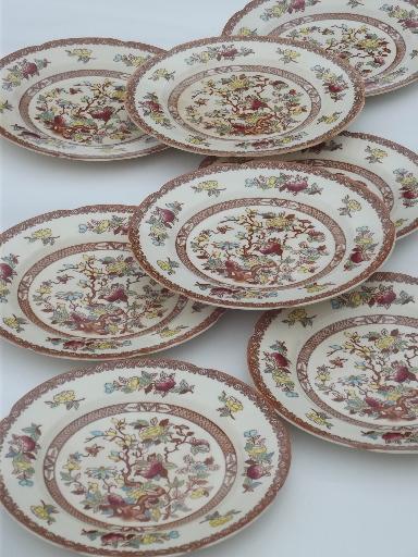 photo of India Tree pattern dinner plates, vintage Maruta Japan Indian Tree #1