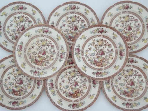 photo of India Tree pattern dinner plates, vintage Maruta Japan Indian Tree #2