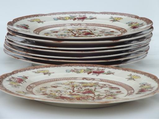 photo of India Tree pattern dinner plates, vintage Maruta Japan Indian Tree #3