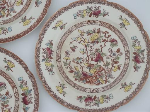 photo of India Tree pattern dinner plates, vintage Maruta Japan Indian Tree #4