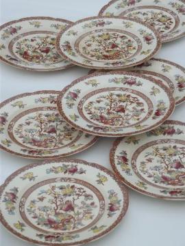 catalog photo of India Tree pattern dinner plates, vintage Maruta Japan Indian Tree