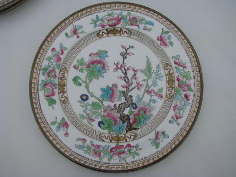photo of India or Indian Tree, antique vintage Royal Doulton china plates #3