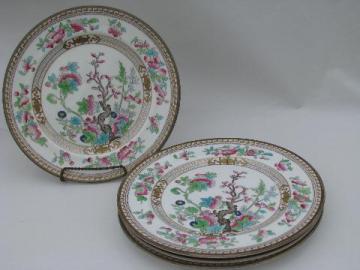 catalog photo of India or Indian Tree, antique vintage Royal Doulton china plates