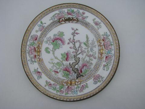 photo of India or Indian Tree, lot 12 antique vintage Royal Doulton china plates #2