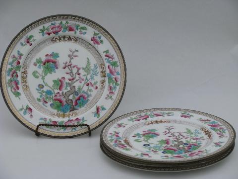 photo of India/Indian Tree, antique vintage Royal Doulton china salad plates #1