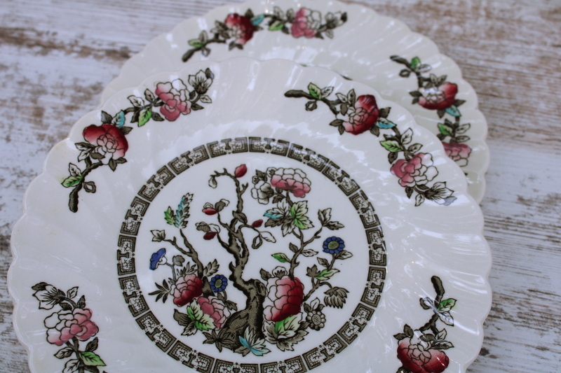 photo of Indian Tree Myott Staffordshire china, vintage salad plates set of four, India tree of life pattern  #2