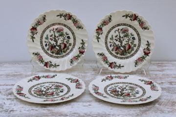 catalog photo of Indian Tree Myott Staffordshire china, vintage salad plates set of four, India tree of life pattern 