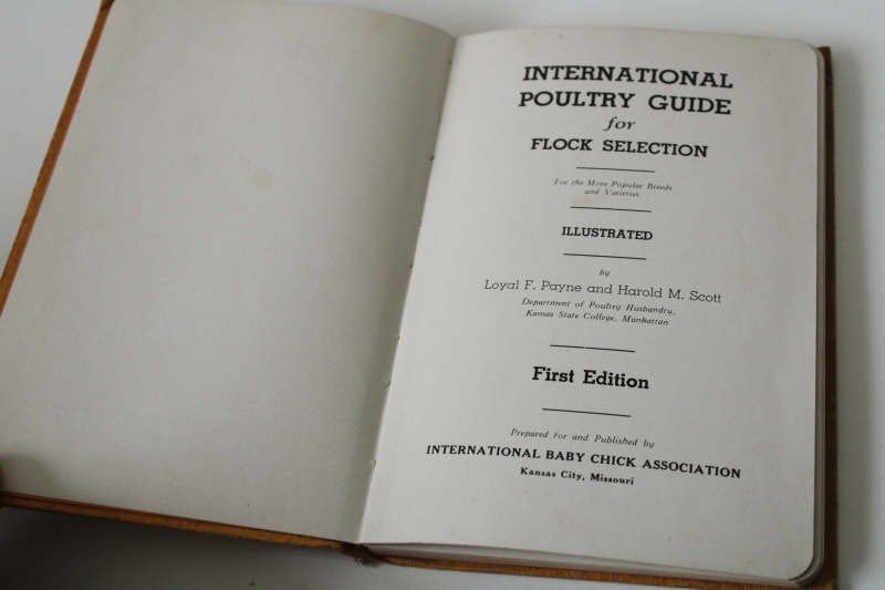 photo of International Poultry Guide, chicken breeds & flock selection vintage 1934 farming book w/ photos  #2