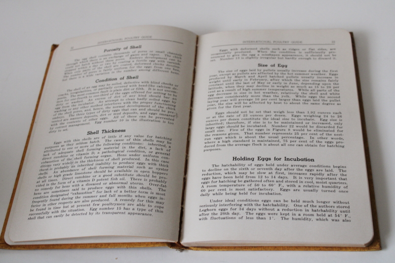 photo of International Poultry Guide, chicken breeds & flock selection vintage 1934 farming book w/ photos  #5
