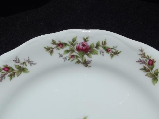 photo of Johann Haviland new Traditions china moss rose plates and bowls for 6 #6