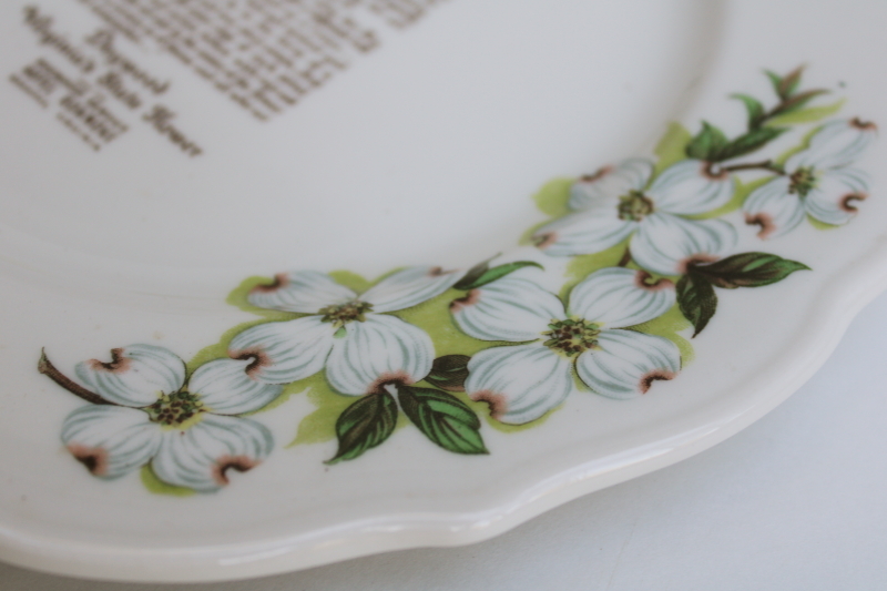 photo of Legend of the Dogwood Hotel Roanoke restaurant china plate, Virginia state flower vintage Syracuse ironstone  #4