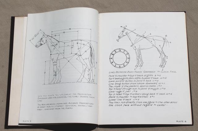 photo of Let's Draw Horses, H C Harlan 1950 horse art drawing pencil sketching book #4