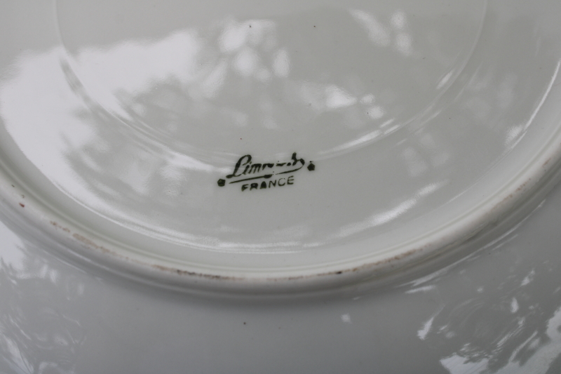 photo of Limoges France vintage china, large decorative bowl w/ robins egg blue border & gold edge  #6