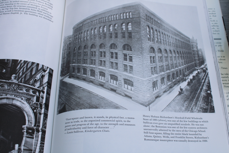 photo of Lost Chicago, historic buildings architecture photos, gilded age homes, downtown stores #4