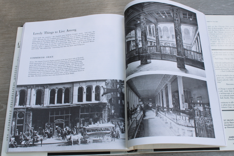 photo of Lost Chicago, historic buildings architecture photos, gilded age homes, downtown stores #6