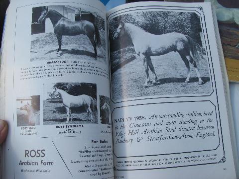 photo of Lot of back issues Arabian Horse World magazines, 1965 and 1966 #4