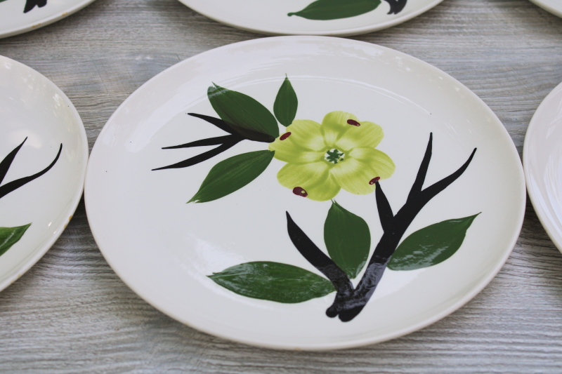 photo of MCM vintage Dixie Dogwood Joni dinner plates, Stetson china hand painted under glaze Blue Ridge floral #2