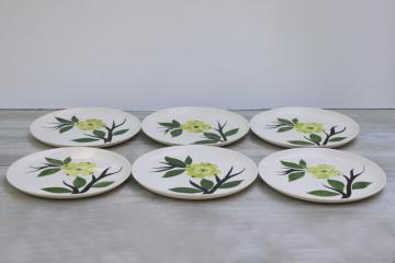 catalog photo of MCM vintage Dixie Dogwood Joni dinner plates, Stetson china hand painted under glaze Blue Ridge floral